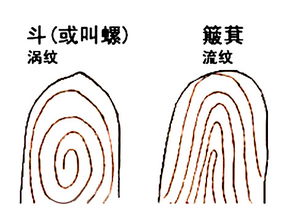 周公解梦，梦见掉了八颗整齐的大门牙，预示何意？