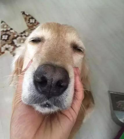 女朋友梦见自己怀孕了，这是什么意思？