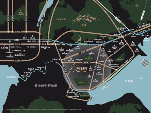 解梦，探索梦境的奥秘，不懂得别留言了