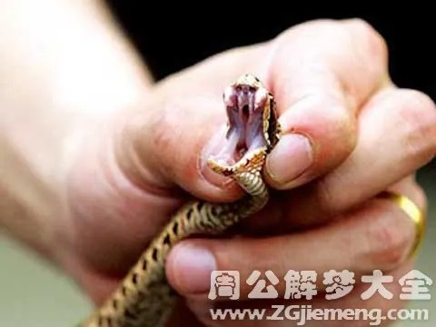 梦见被蛇咬然后把它打死了代表什么啊？