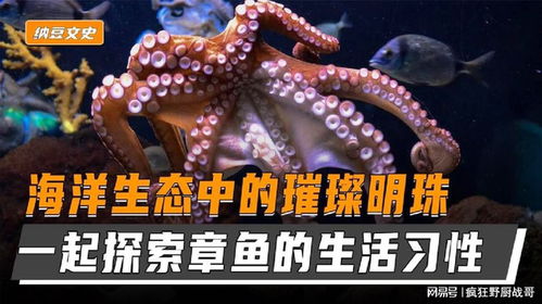 解梦梦见巨蟒，探索潜意识中的神秘象征