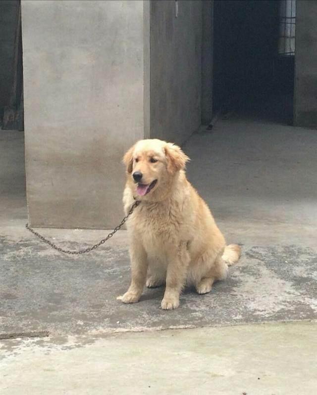 做梦梦见大门牙掉了出血，梦境背后的深层含义与心理解析