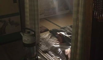 梦见自己和老婆给死人送棺材盖，探索梦境背后的深层含义