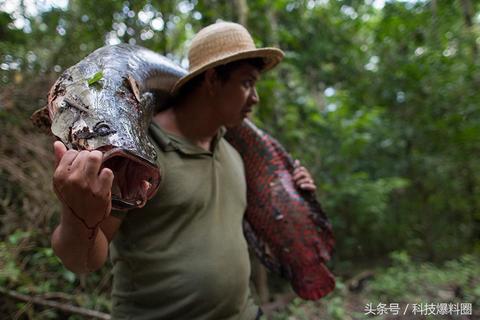 梦境深渊，探索做梦梦到掉水里了的预兆与深层含义