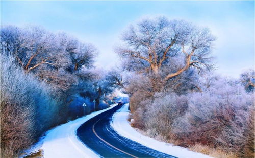 梦回冬日仙境，解析不是下雪的季节却下雪的梦境之谜