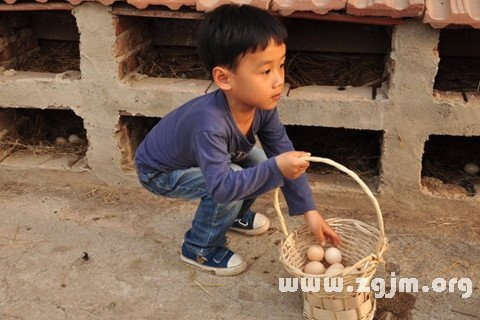 周公解梦，梦中捡蛋，孵化无限可能