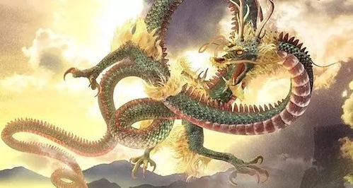 梦见龙与观音，探寻梦境深处的神秘寓意