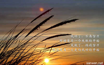 梦境解析，孕期363天的神秘启示——左手边的枣树与丰盈之兆