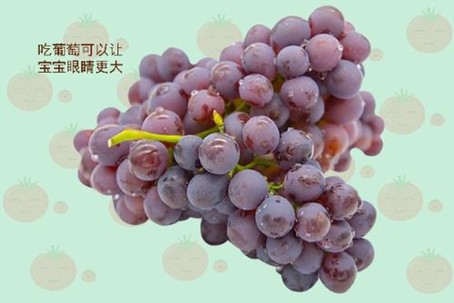 孕妇梦见葡萄，是生男孩还是女儿的预兆？