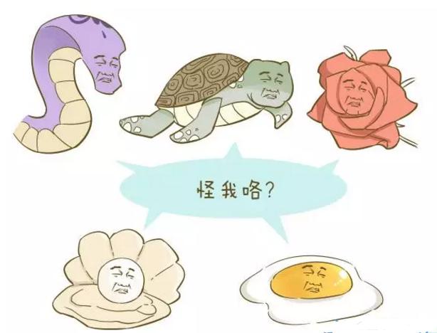 梦境的甜蜜馈赠，解析梦见石榴树上石榴的象征意义