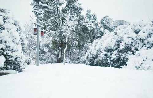 梦见下大雪，预兆与梦境解析的深层含义