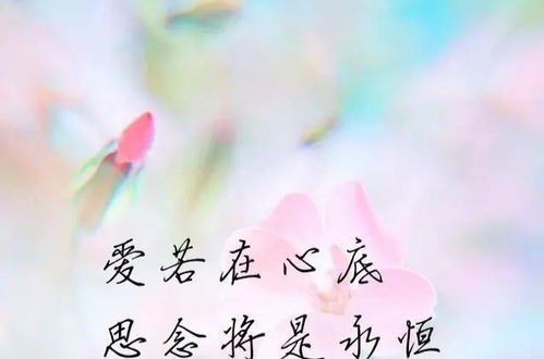 做梦梦见心爱的人怀了别人的孩子，梦境背后的深层含义与心理解析