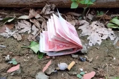 昨晚做梦梦见自己捡钱了，预示未来财运亨通，还是心灵深处的渴望？