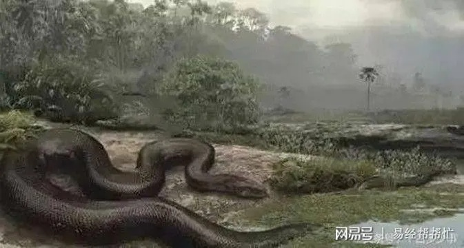 梦境解析，蛇群河畔伴行，独蛇背上行踪之谜