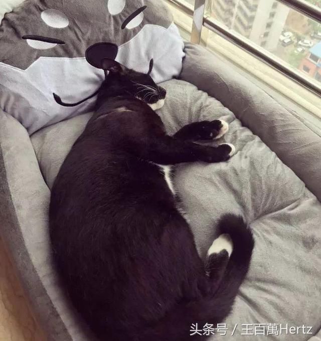 梦见我端小孩拉屎拉了我一手，梦境背后的深层含义与解析