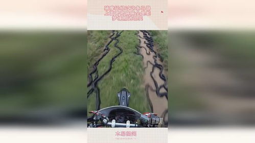 梦境解析，被蛇咬在手臂并出血的梦境含义与心理解读