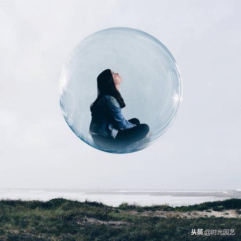 梦见猫头鹰和虫子，探索梦境背后的深层含义