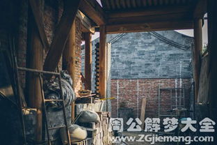 梦见自己家宅下面到处是坟地，梦境背后的深层解析与心理启示