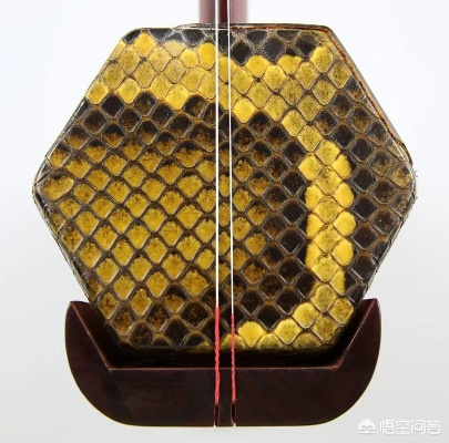 梦见蛇皮做二胡，梦境背后的文化寓意与心理解析