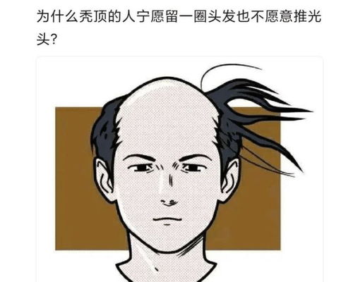 梦见自己剪了短发还自己说自己有点秃顶，探索梦境背后的深层含义与自我认知