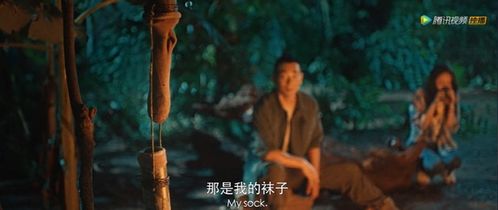 梦境中的蛇舞，屋顶上的恐惧与释放