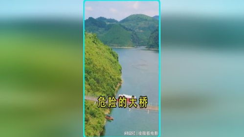 请高手帮我解下，昨夜梦见我去河里洗手，竟发现两条蛇