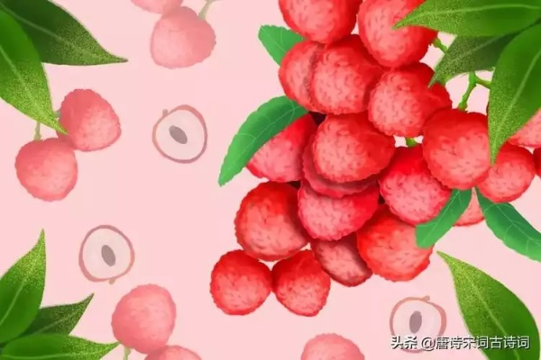 孕期梦境探秘，怀孕6个月梦见吃荔枝的深层含义与解读