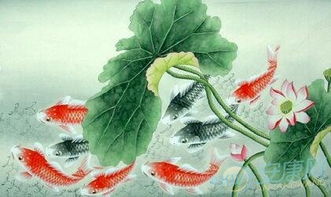 怀孕六个半月梦到很多黄花蛇，梦境背后的深层含义与解读