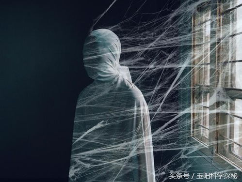 探索梦境奥秘，为何会梦到男性及其深层含义