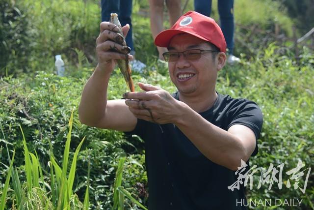 怀孕梦见抓鱼有条鱼头受伤了，梦境背后的深层含义与解读