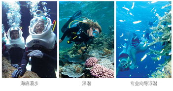 梦境探秘，与恋人漫步深河之畔，遇见奇异鱼群