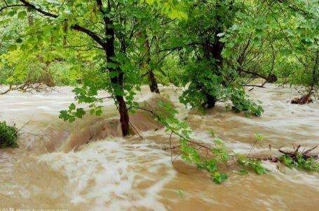 梦见涨洪水玉米地被淹，梦境背后的深层含义与启示