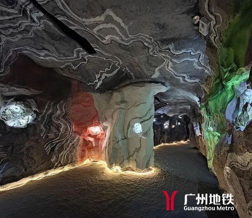 探寻梦境深处的奥秘，一位解梦大师解读关于蛤蟆的梦境