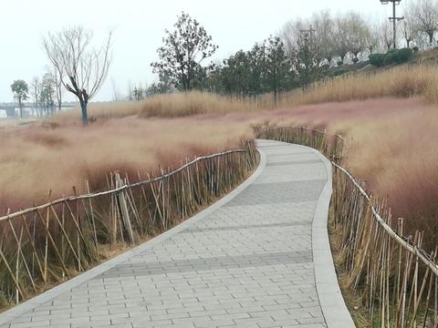 梦见茅草房漏水，寓意与解析