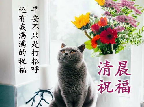 梦境解析，早上梦见清清的河水与多彩孔雀鱼