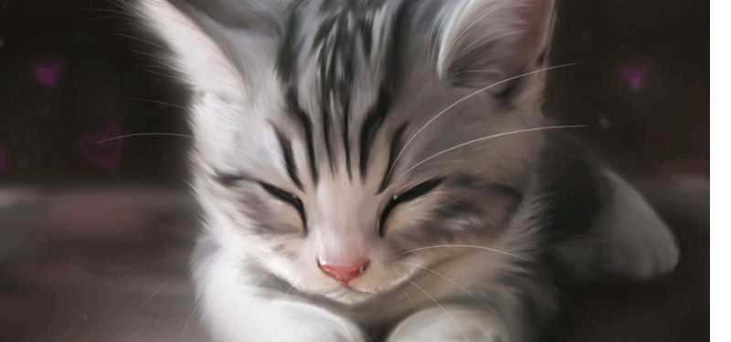 梦见黑猫想咬我被我打死，解读梦境背后的深层含义