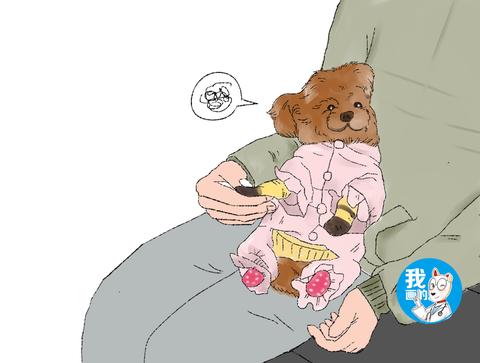 梦见狗吃热棕子，解读梦境背后的深层含义