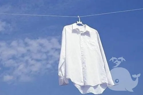 妈妈梦见我穿一身白衣服，预兆与梦境解析的深度探索