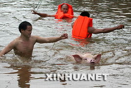 梦境解析，梦见大雨冲断堤淹了别人家