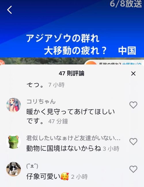 梦境中的温情雨幕，梦见下雨时朋友为我打伞，自己也有小伞的寓意解析