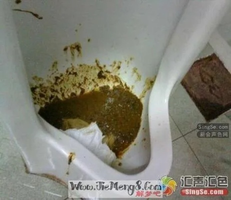 周公解梦，梦见自己大便后又捡起扔到厕所的深层含义