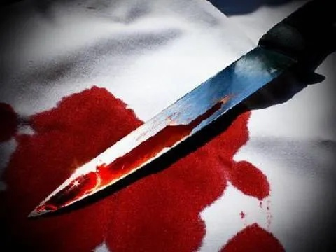 梦见死人活了还被人砍了几刀见了血，梦境背后的深层解析与心理启示
