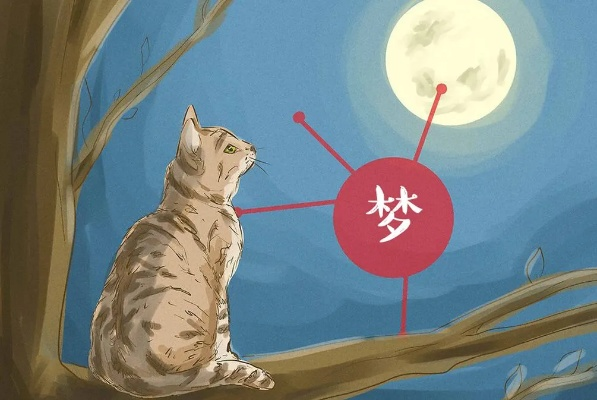 孕妇梦到白色的猫，神秘梦境背后的寓意与解读