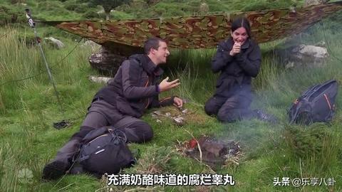 梦见虫子趴在羊身上，梦境背后的深层解析与心理启示