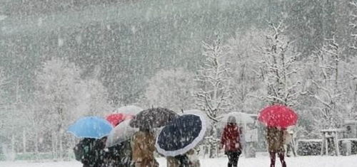 孕妇梦见下雪了，寓意与解析的深层探索