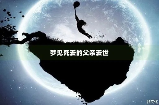 梦境中的重生，梦见已故父亲再次去世与心灵深处的救赎