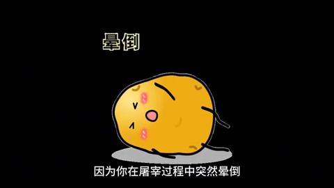 梦见猫被屠宰，潜意识的警示与内心情感的映射