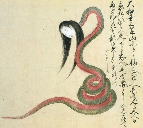 梦境的蜕变，从黑蛇到白蛇的深层解析