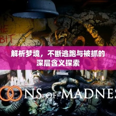 梦境追踪，大老鼠的追逐与潜意识的意义探索