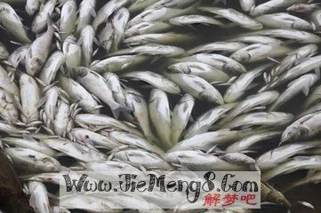 梦境中的馈赠，梦见有人给我家送了好多油炸鱼的深层解读